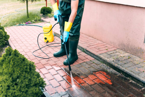 Best Commercial Building Pressure Washing  in Roanoke Rapids, NC