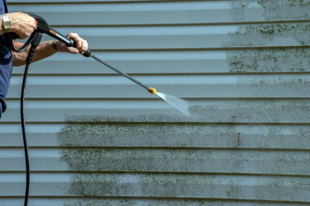 Best Power Washing Near Me  in Roanoke Rapids, NC