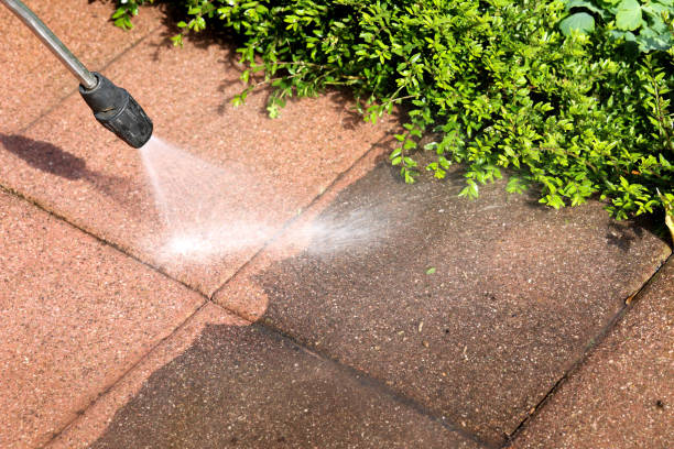 Best Pressure Washing Company Near Me  in Roanoke Rapids, NC